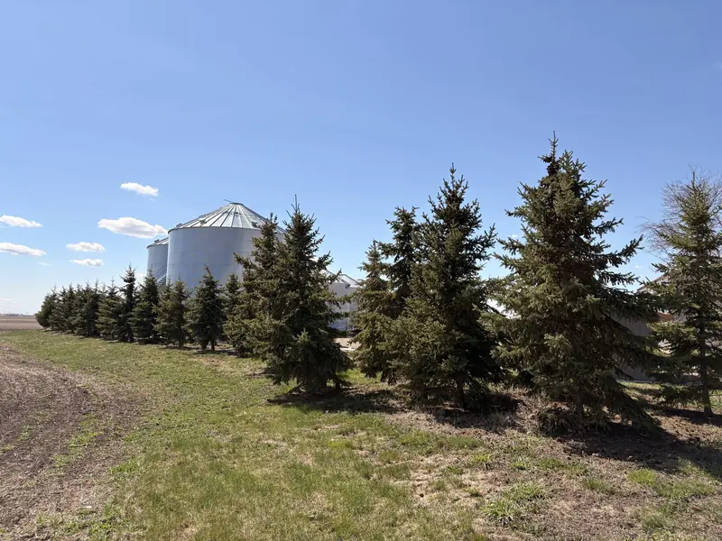 15 Years Later — Crystal Springs Trees